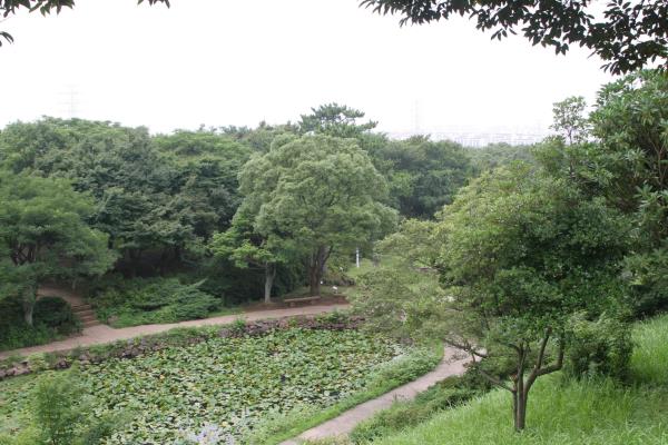 한라수목원